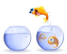 La scomoda "comfort zone"